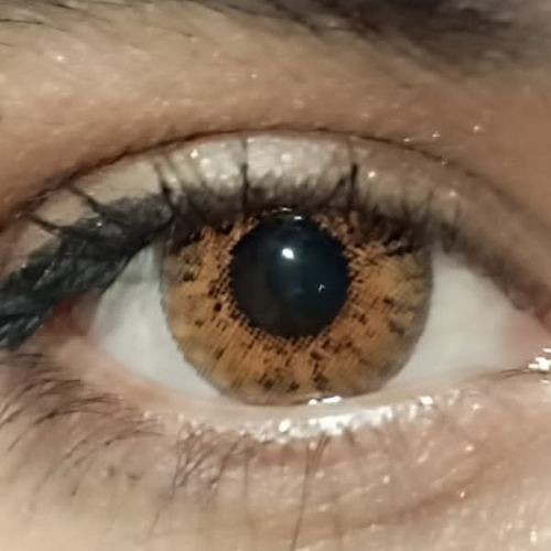 3tone Honey
